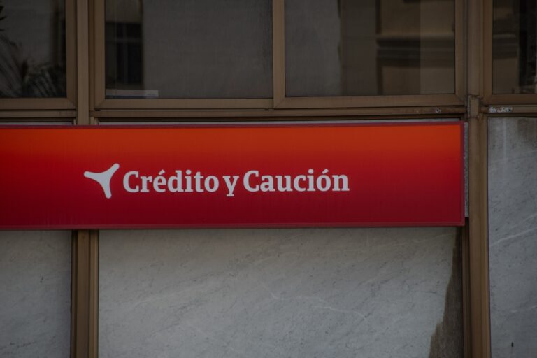 surety, surety bond, surety bonds, fianza, fianzas, caución, cauciones, c. constantin poindexter;